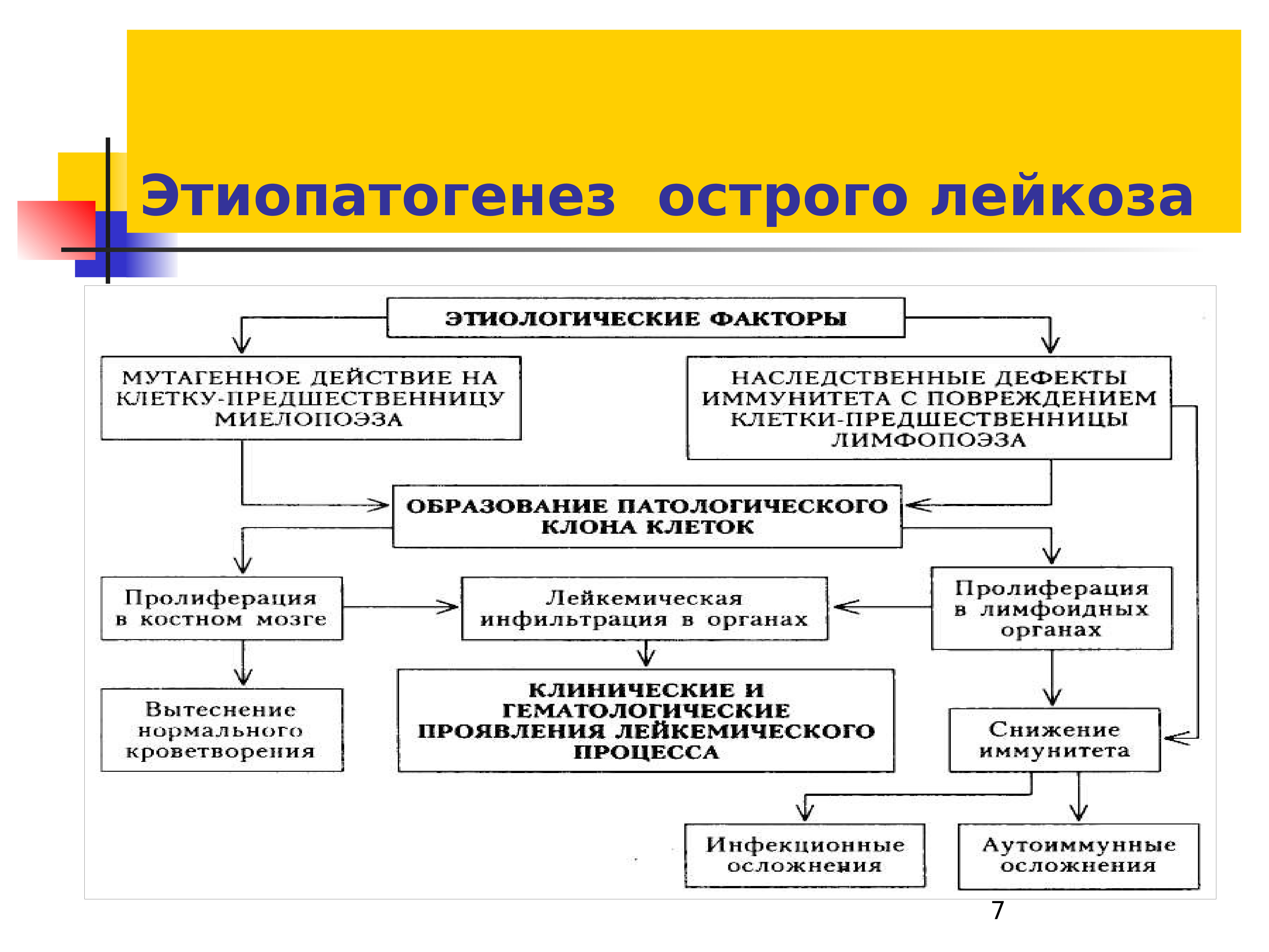 Патогенез хронического лимфолейкоза схема