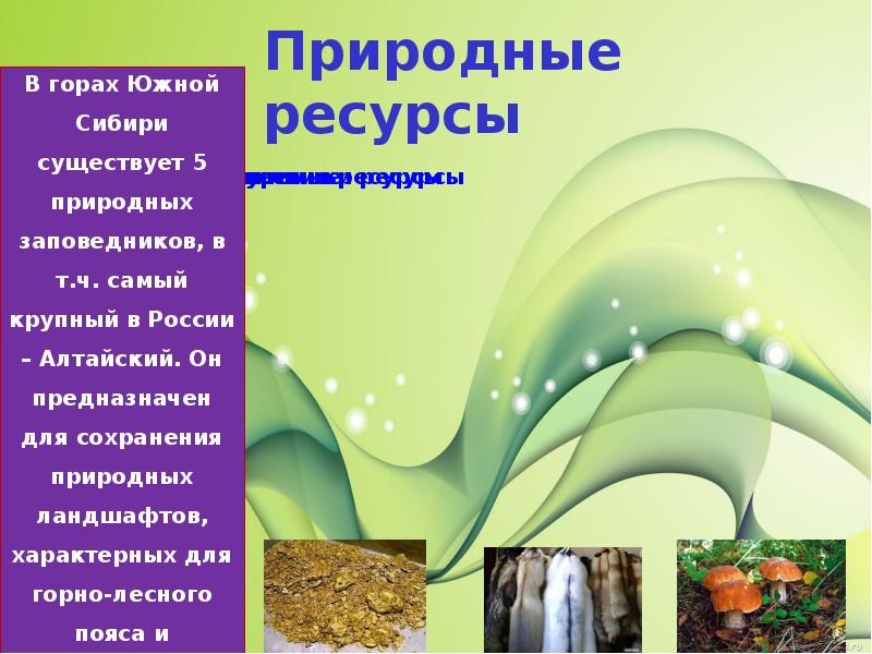 Ресурсы гор южной сибири