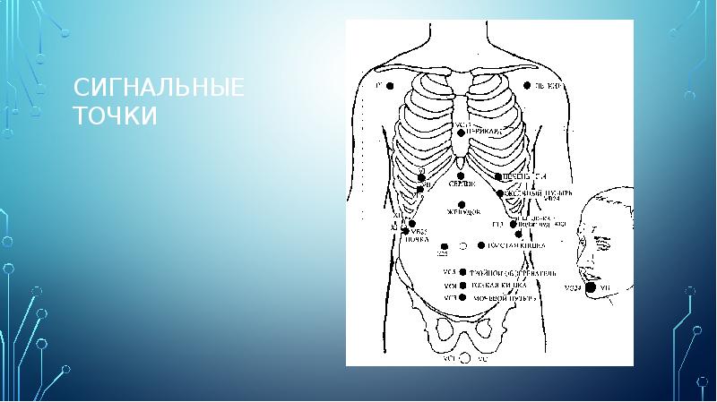 Вкусно и точка карта точек