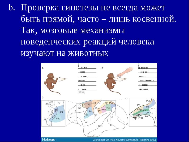 Гипотеза про животных. Тестирование гипотез. Изучение животных презентация, гипотеза. Гипотеза точки и прямые.