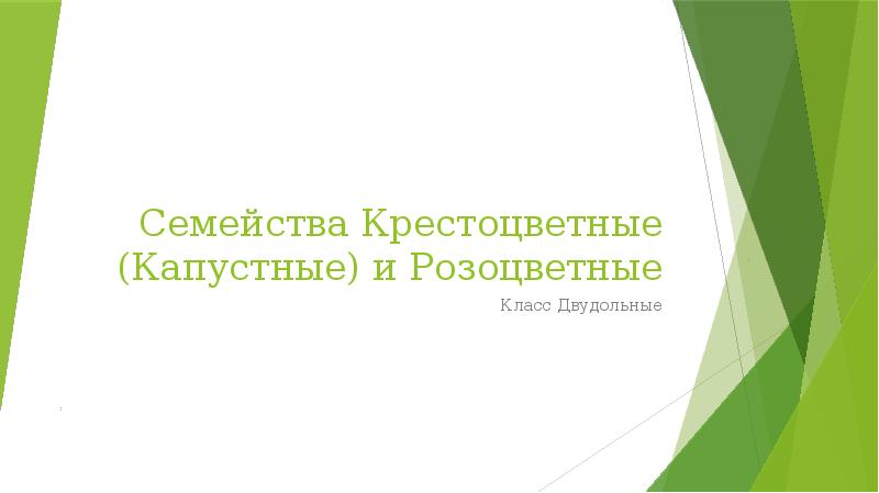 Семейство крестоцветные проект