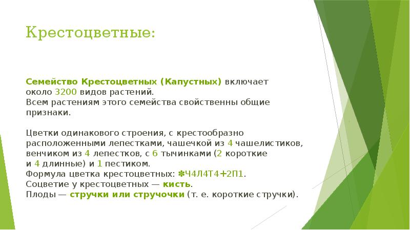 Презентация по биологии 6 класс семейство крестоцветные и розоцветные