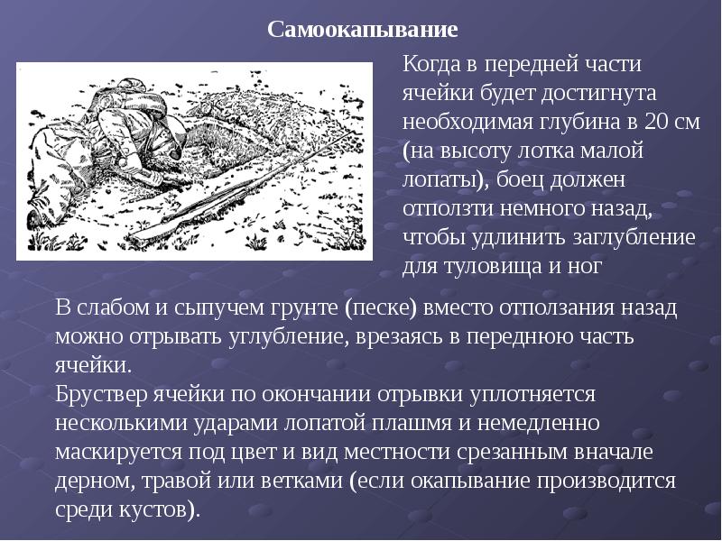 Мультимедийная презентация в профессиональной деятельности презентация