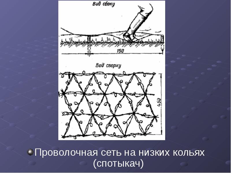 Сеть ниже. Проволочные сети на низких кольях Спотыкач. Проволочная сеть на низких кольях. Проволочная сетка на низких кольях. Спотыкач заграждение.