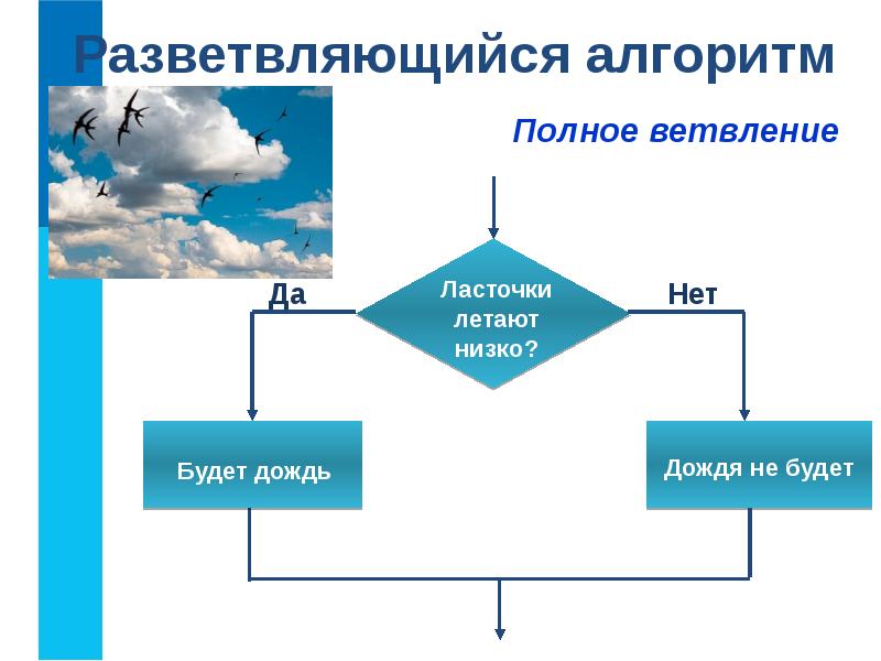 Разветвляющийся алгоритм фото