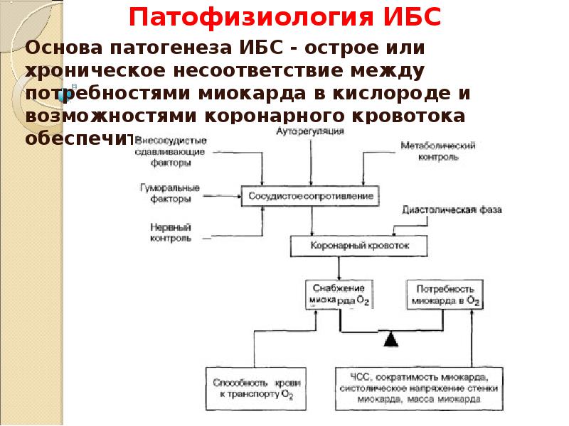 Презентация ишемическая болезнь