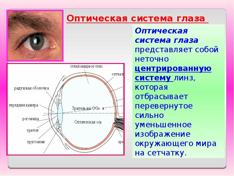 Оптическая система глаз последовательность