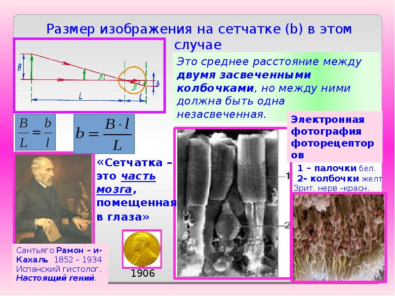 Оптика презентация