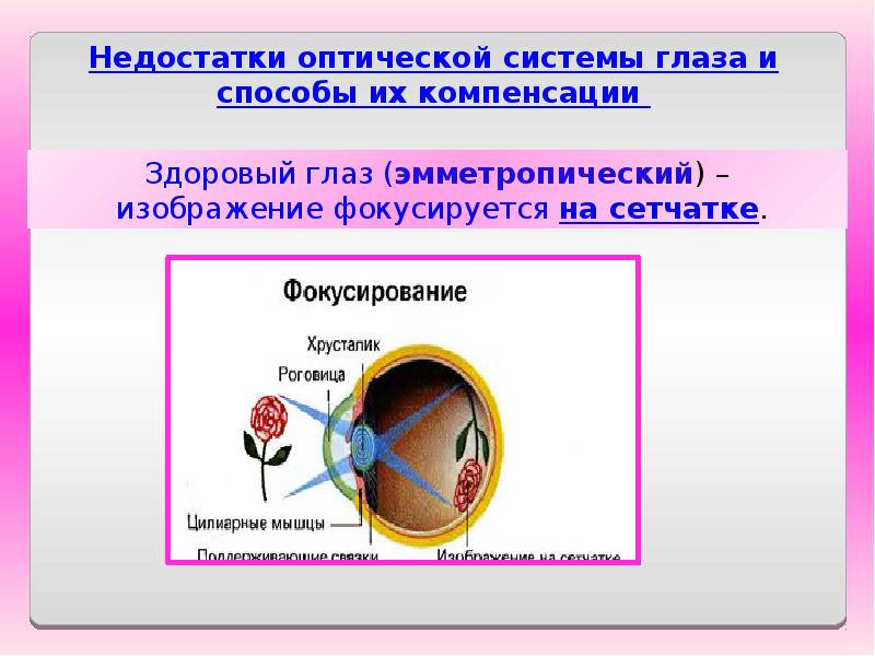 Оптика презентация казакша