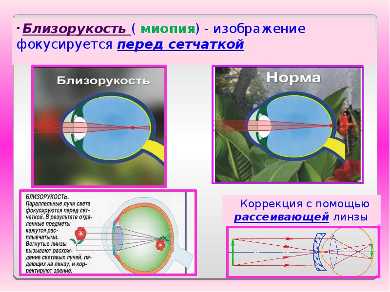 Оптика 7 класс