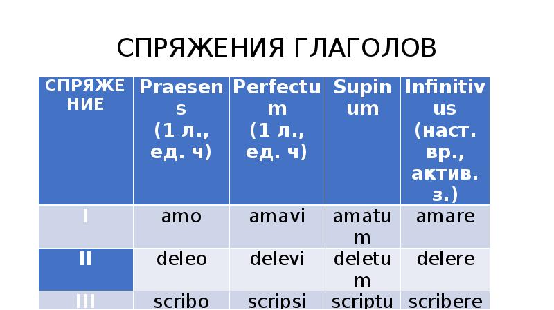 Глагол латынь