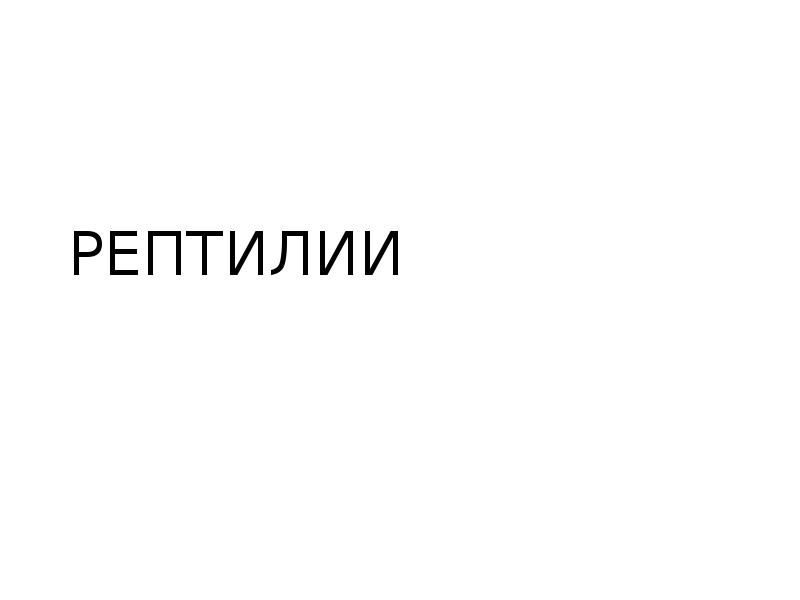 РЕПТИЛИИ РЕПТИЛИИ
