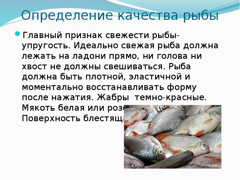 Показатель качества образец рыбы наблюдение заключение оформите таблицу в тетради технология 7 класс