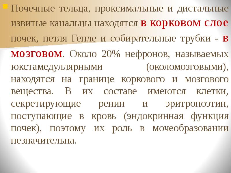 Процесс займет. В корковом слое почек находятся извитые канальцы. В корковом слое почек не находится. Проксимальные и дистанции расположены. Проксимальные отложения.