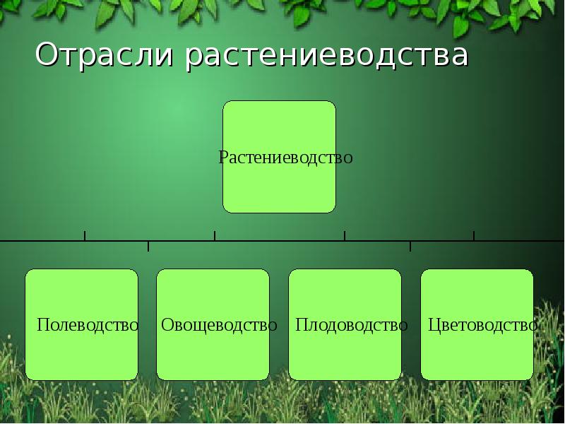 Отрасли растениеводства Отрасли растениеводства