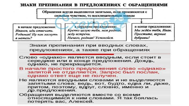 Предложения с обращениями и вводными словами презентация