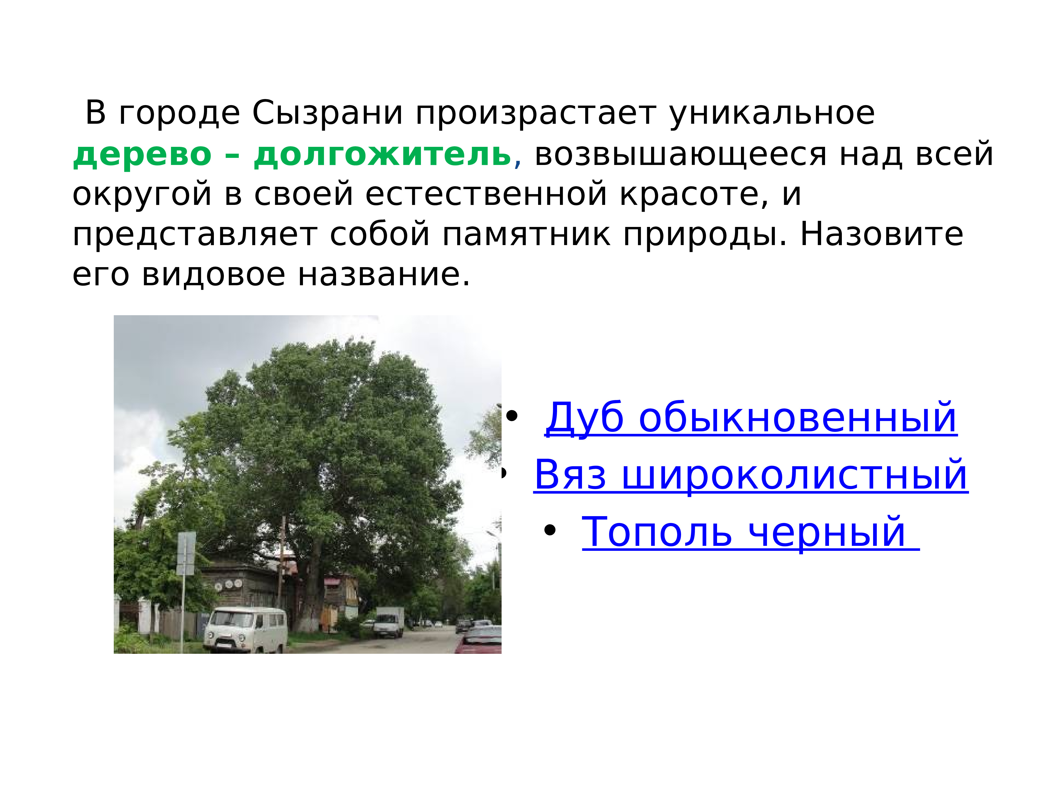 Виртуальная экскурсия по городу презентация