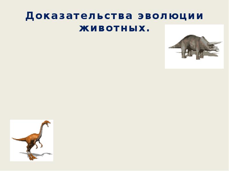 Доказательства эволюции животного мира презентация 7 класс константинов
