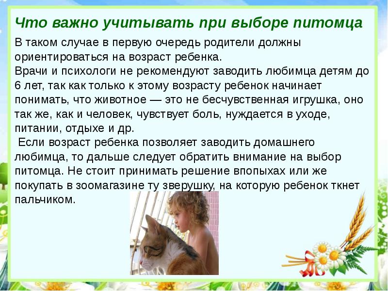 Как выбрать домашнего питомца. Как выбрать питомца.