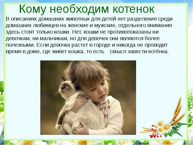 Краткое содержание котенок