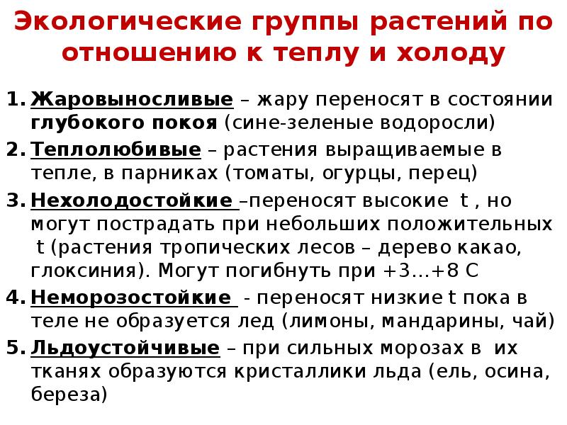 Экологические группы растений по отношению к теплу и холоду Жаровыносливые –