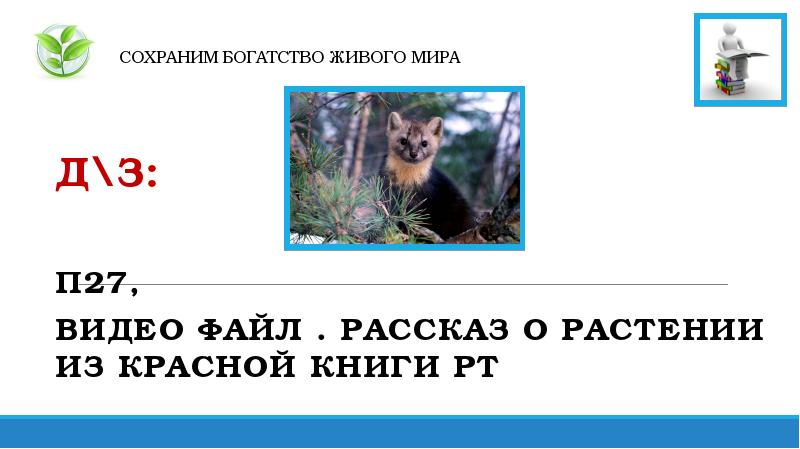 Богатства живой природы. Богата жива. Богата жива. Природные богатства. Богата жива.