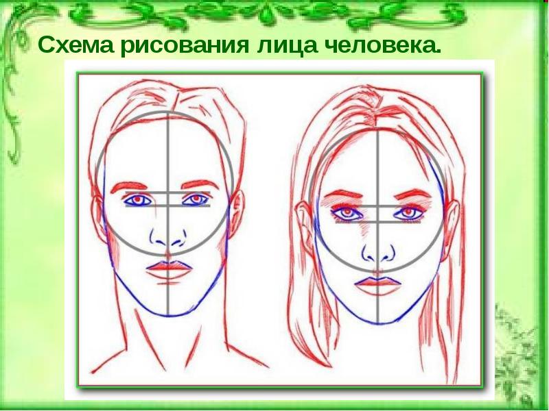 Лицо рисунок схема. Лицо для рисования. Схема лица человека для рисования. Уроки рисования лица человека. Лицо человека рисунок для презентации.