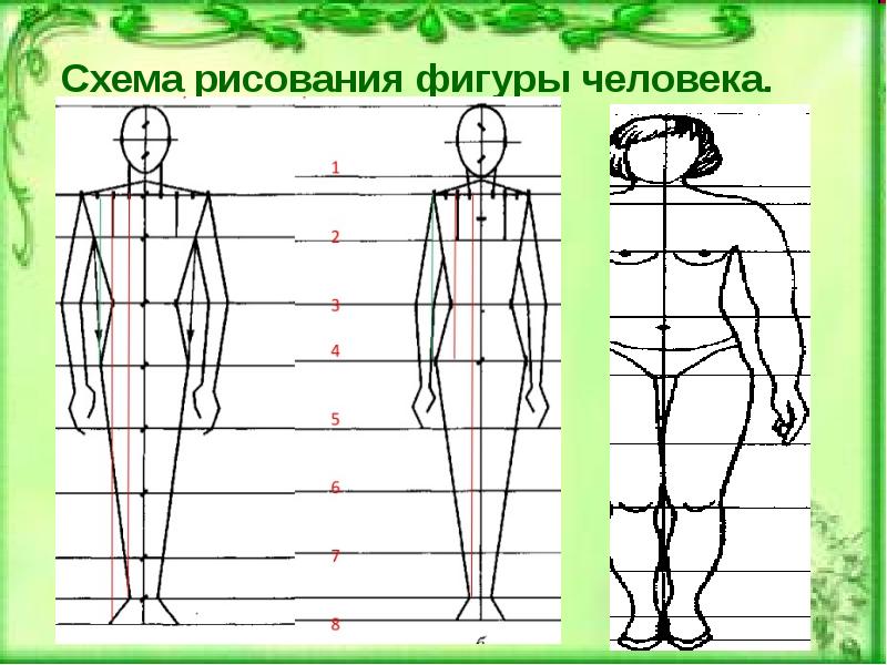 Схема человека рисунок. Схема человека. Схематический рисунок человека. Рисует схему. Алгоритм рисования человека.