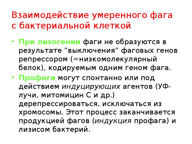 Механизмы взаимодействия бактериофага с микробной клеткой. Взаимодействие фага с бактериальной клеткой. Умеренные и вирулентные бактериофаги. Механизм взаимодействия фагов с бактериальной клеткой. Вирулентные и умеренные фаги.