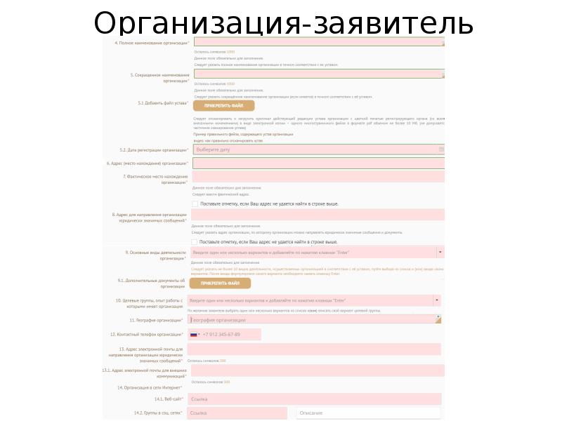 Должность руководителя проекта в организации заявителе