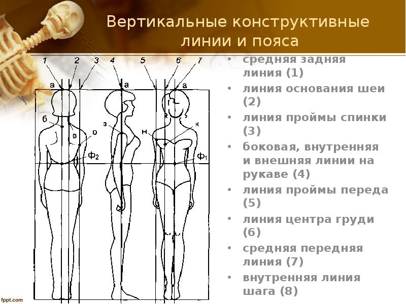 Презентация на тему антропометрия