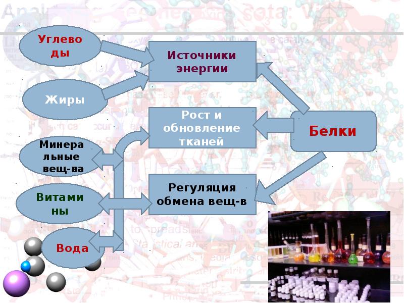 Физиология питания 7 класс. Источники энергии белки углеводы жиры. Физиология питания белки жиры углеводы. Регуляция обмена белков жиров углеводов. Жиры физиология питания.