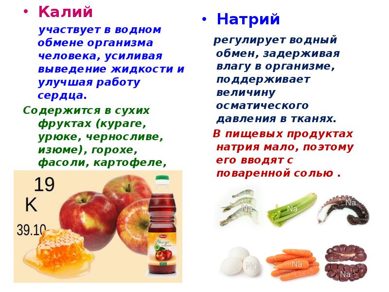 Презентация физиология питания 6 класс технология кулинария