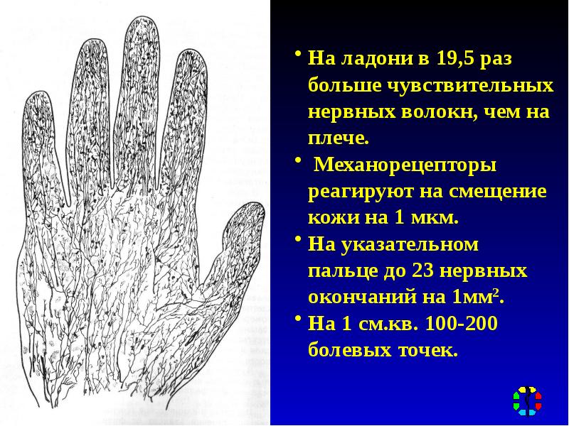 Панариций мкб 10 код. Заболевание мягких тканей на ладони.