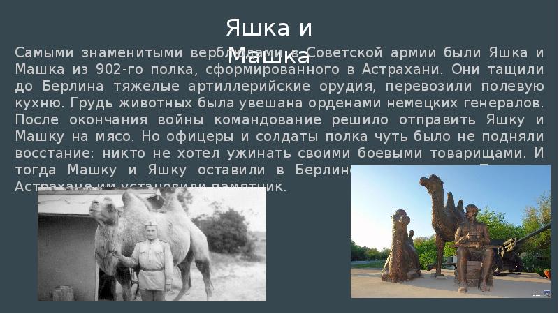 Машка в армии для натирания полов фото старые