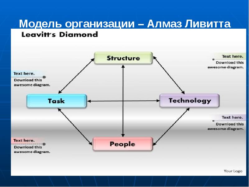 Управление проектом магистратура