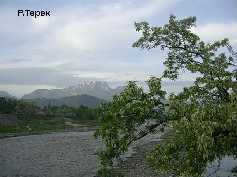 Реки и озера ставропольского