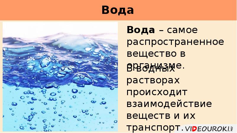 Какое вещество самое распространенное. Вода самое распространенное вещество на земле. . вода - одно из самых распространенных веществ на земле.