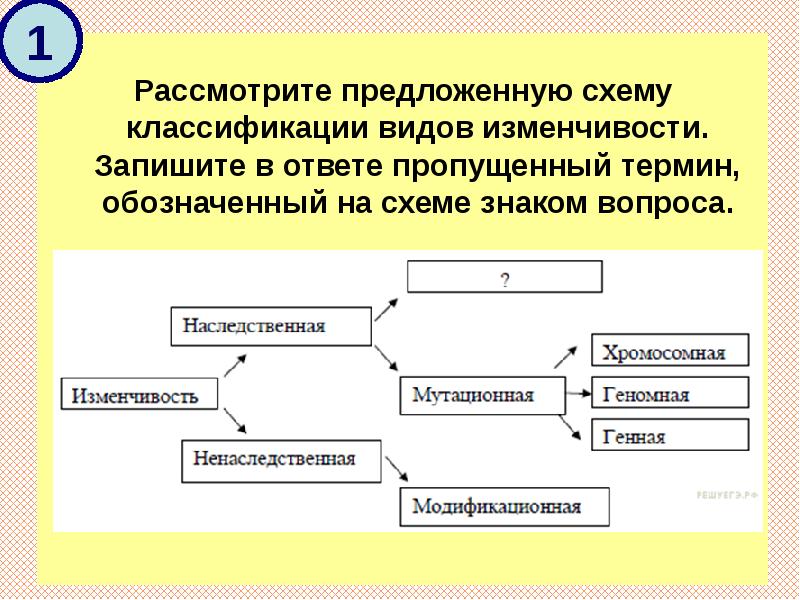 Рассмотрите схему запишите в ответе пропущенный термин