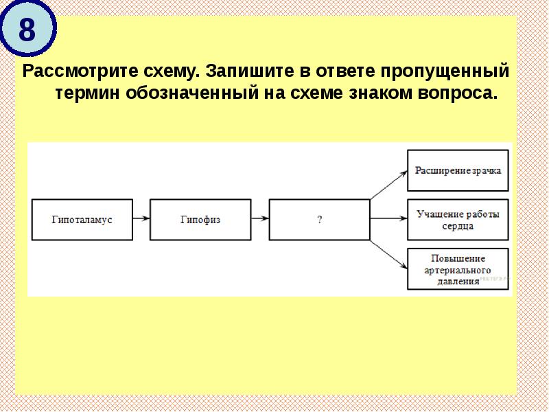 Выберите термин не обозначающий схему ответ на тест