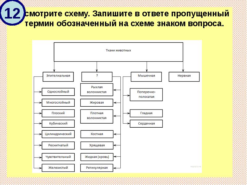 Запишите термин обозначающий. Схема терминов. Запишите термины обозначающие соответствующие понятия. Напишите термин, пропущенный в схеме.. Запишите термины обозначающие соответствующие понятия знаковая.