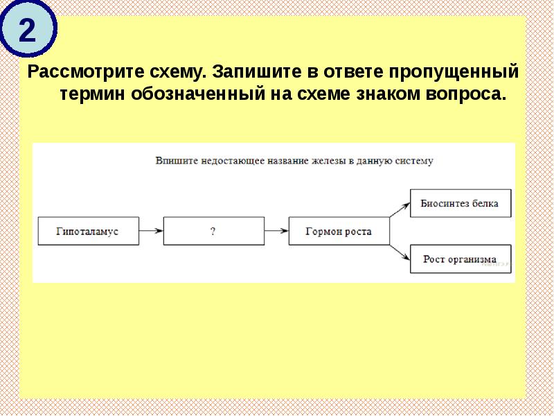 Запишите в ответе пропущенный термин обозначенный на схеме вопросительным знаком