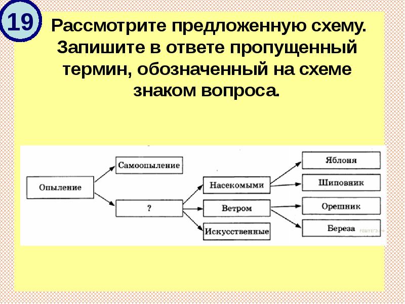 Используя предложенную схему