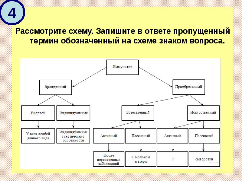 Пропущенный термин