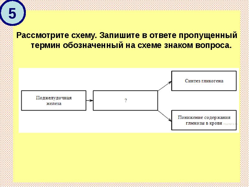 Рассмотрите предложенную схему запишите в ответе пропущенный термин