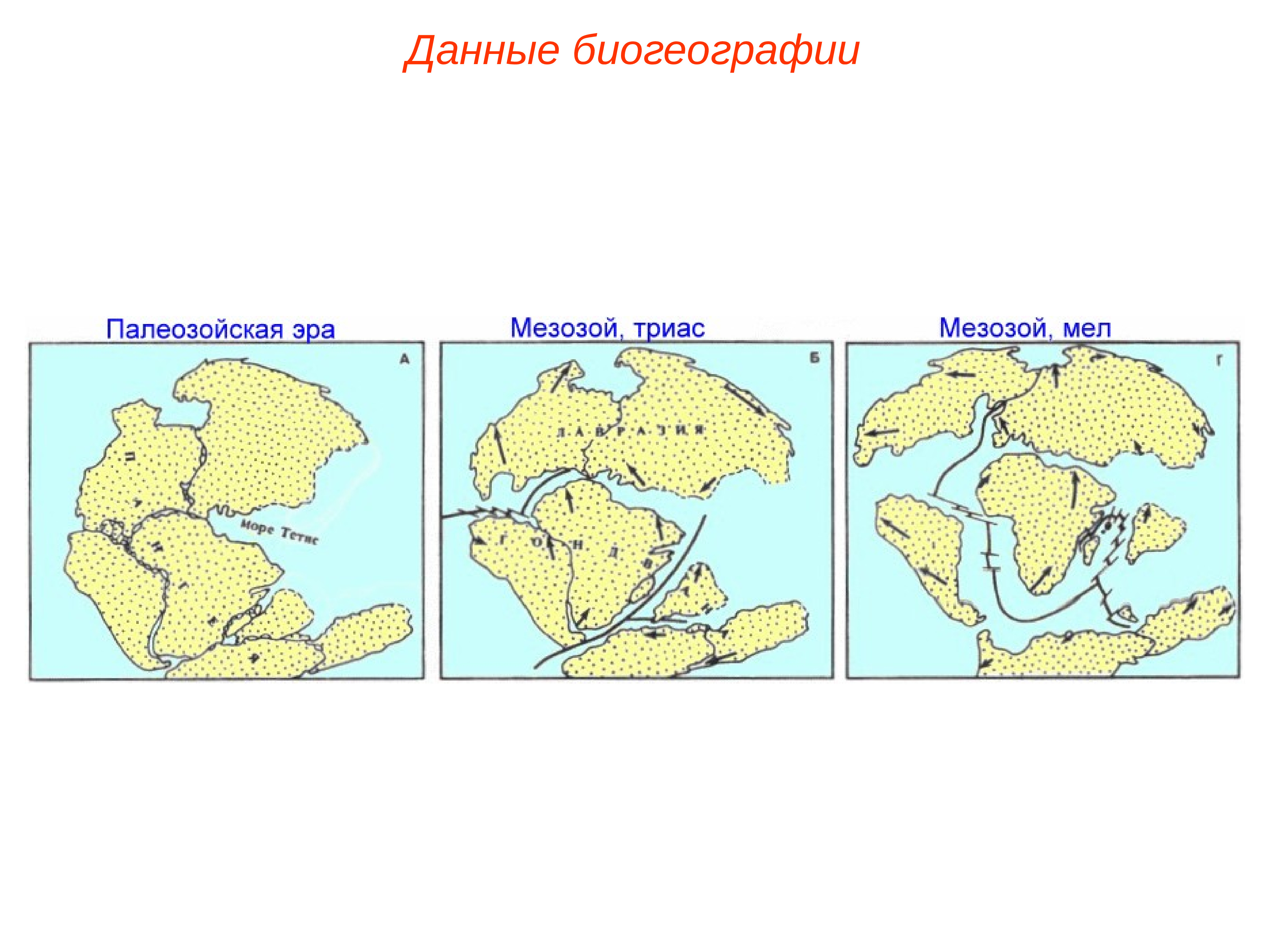 Биогеографические доказательства эволюции картинки