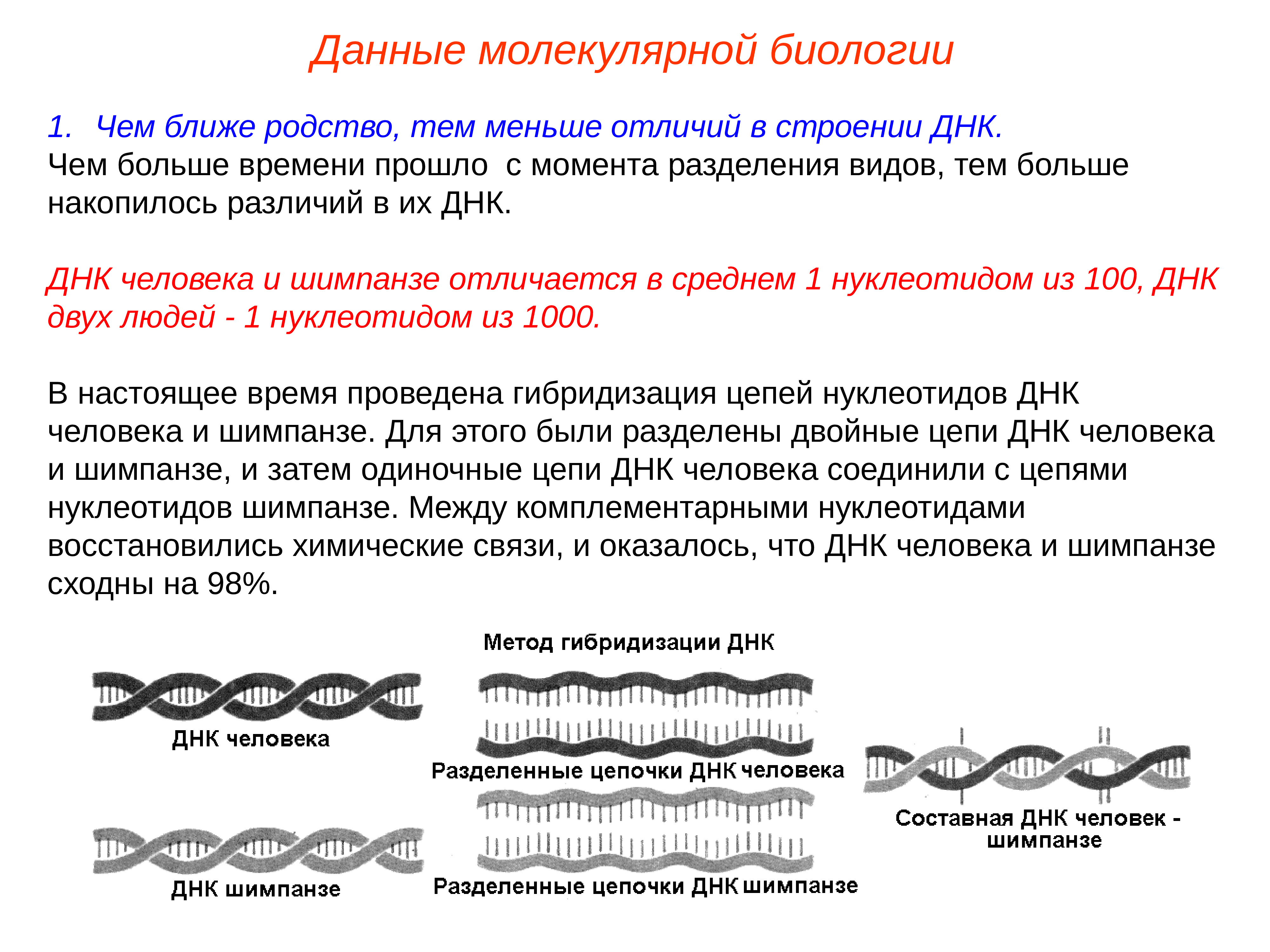 Мельчайшее различие. Молекулярно генетические доказательства. Молекулярно-генетические доказательства эволюции. ДНК человека и шимпанзе. Разделение биологии.