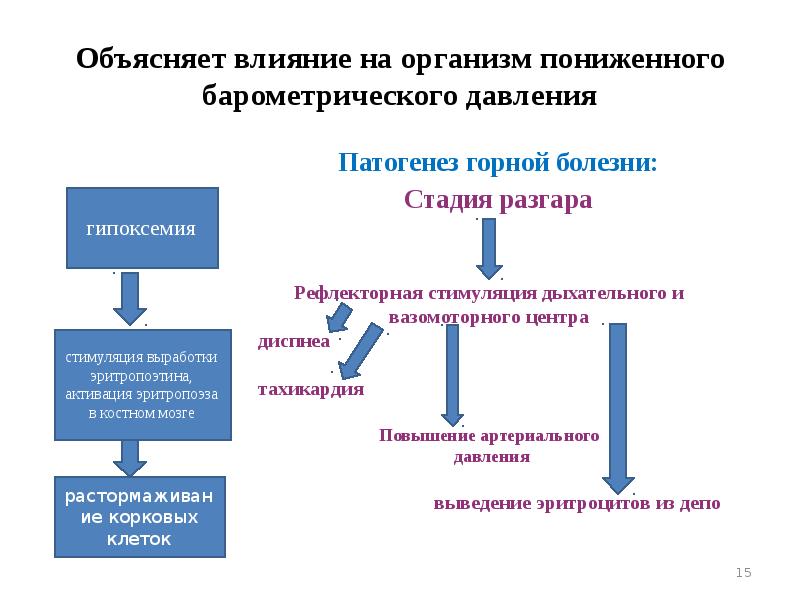 Горная болезнь давление. Патогенез горной болезни. Этиология горной болезни патофизиология. Патогенез горной болезни патофизиология. Механизм развития горной болезни.