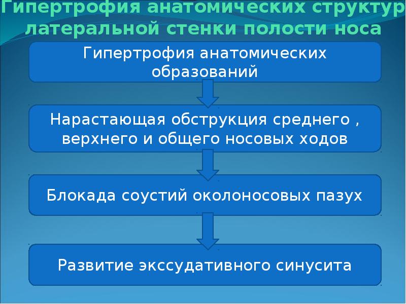 Презентация носа и околоносовых пазух презентация