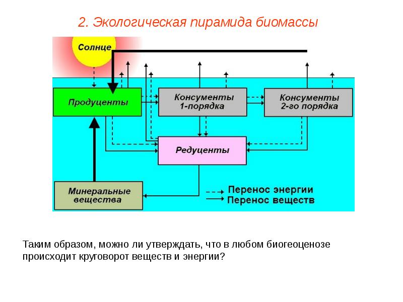 Схема круговорот веществ и потока энергии